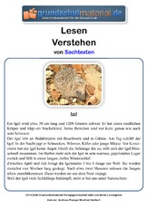 Igel - Sachtext.pdf